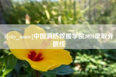 南平中国消防救援学院2021录取分数线