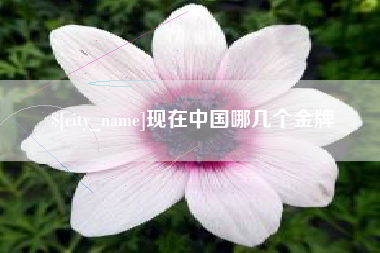 南平现在中国哪几个金牌