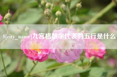 南平九宫格数字代表的五行是什么