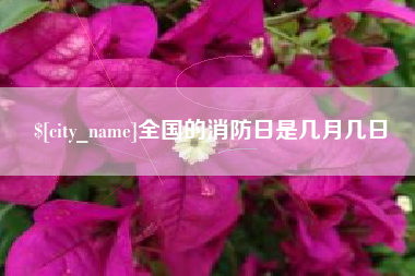 南平全国的消防日是几月几日