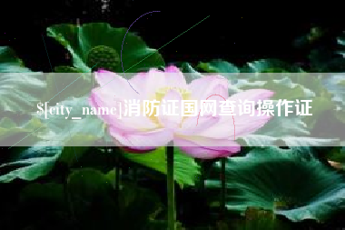 南平消防证国网查询操作证