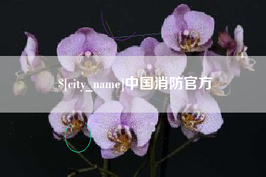 南平中国消防官方