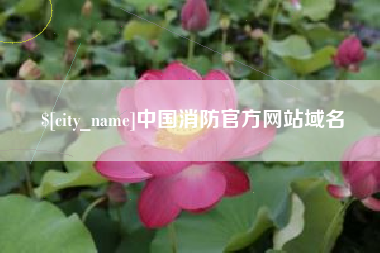 南平中国消防官方网站域名