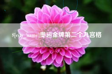 南平奥运金牌第二个九宫格