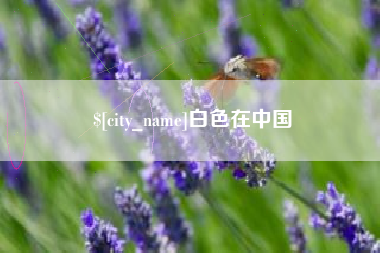 南平白色在中国