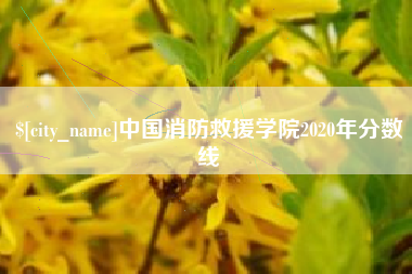 南平中国消防救援学院2020年分数线