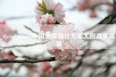 南平中国金牌图片大全大图真实高清