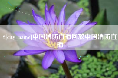 南平中国消防直播回放中国消防直播