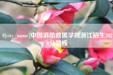 南平中国消防救援学院浙江招生2020分数线