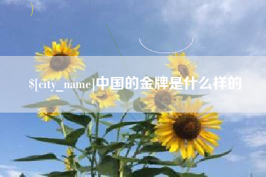 南平中国的金牌是什么样的