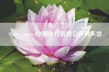南平中国执行信息公开网失信