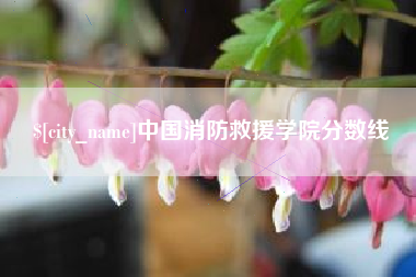 南平中国消防救援学院分数线