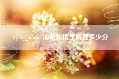 南平消防救援学院要多少分