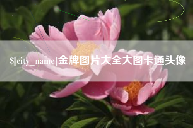 南平金牌图片大全大图卡通头像 南平金牌图片大全大图卡通头像