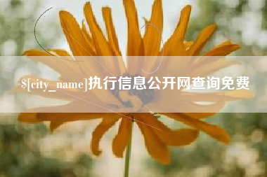 南平执行信息公开网查询免费